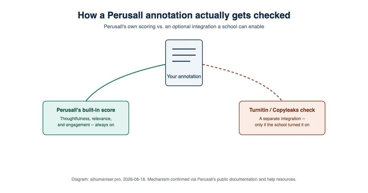 Diagram showing a Perusall annotation branching into two paths: Perusall's own thoughtfulness/relevance/engagement score, always on, versus an optional Turnitin or Copyleaks check a school can separately enable